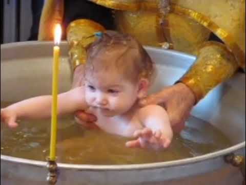 Видео: 20 января 2024 г.