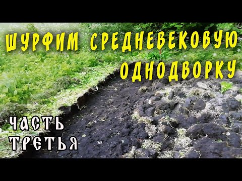 Видео: Шурфим средневековую однодворку! Лесной коп. Часть -3-.