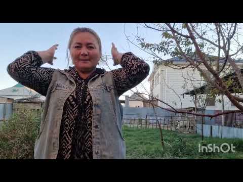 Видео: Кещкі уақыт