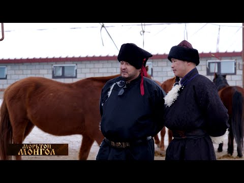 Видео: Морьтон Монгол нэвтрүүлэгт МУ-ын манлай уяач Баасансүрэнгийн Нямжав оролцлоо.
