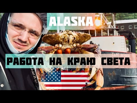 Видео: Аляска , работа на краю света | Работа на рыбном заводе на Аляске 