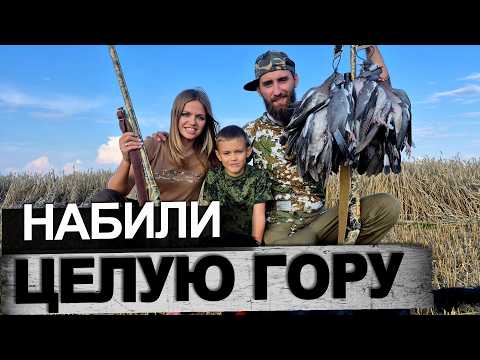 Видео: Открытие охоты/Семья на охоте/Охота на Вяхиря