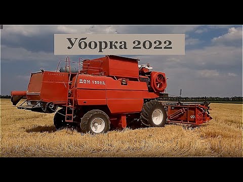 Видео: Уборка 2022 г. Комбайн ДОН-1500А и Нива СК-5