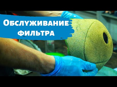 Видео: Обслуживание воздушного фильтра | Жидкость DT1 Racing | Масло Liqui Moly