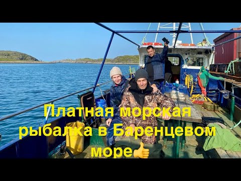 Видео: Морская рыбалка Дальние Зеленцы. Баренцево море. Август 2025