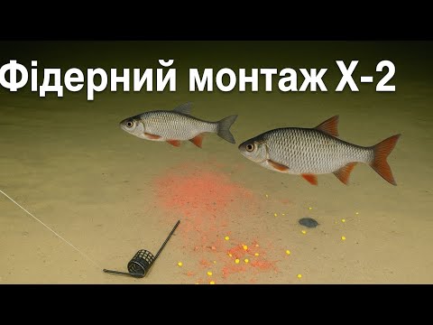 Видео: Фідерний монтаж Х-2.  Гарно працює по плотві.  #дозариболовлі #fishing #риболовля #монтаж 