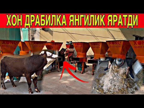 Видео: ХОН🔥ДРАБИЛКА🌿НАРХИНИ ЭНДИХАМ ТУШИРВОРДИ