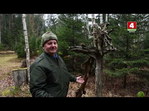 Видео: Заказник Выгонощанское.1 РЕГИОН 19.11.2024.ТРК БРЕСТ