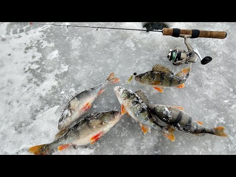 Видео: ЛОВЛЯ ОКУНЯ ЗИМОЙ на силикон или Ice ul- что это такое!