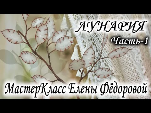 Видео: 🌿МК Лунария - Часть 1🌿