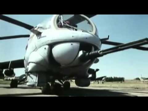 Видео: Птичка ласточка