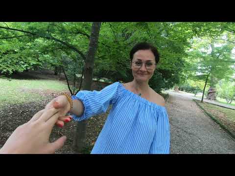 Видео: Грузия