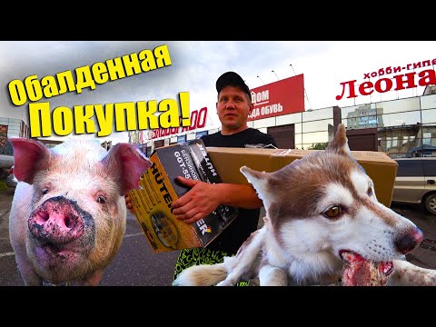 Видео: Хрюша Последние ДНИ(((Продали САЛО и Купили БЕНЗОКОСИЛКУ!!!ОБКАТАЛИ И ОТПРАВИЛИСЬ В ТУРПОХОД!!!