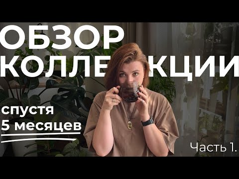 Видео: Большой обзор комнатных растений • Как изменились растения за 5 месяцев? • Растения ДО/ПОСЛЕ