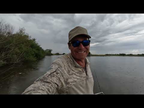 Видео: Трудовой сом на День рождения!