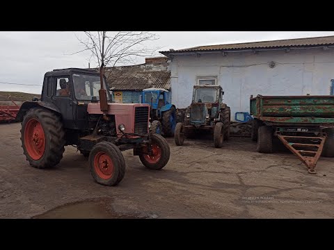 Видео: 01.02.2021 обзор и запуск новинок