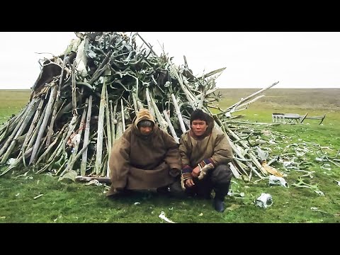 Видео: Боги и Духи Ямала так велели. Михаил Окотэтто | ЯСАВЭЙ. Кочевник XXI века