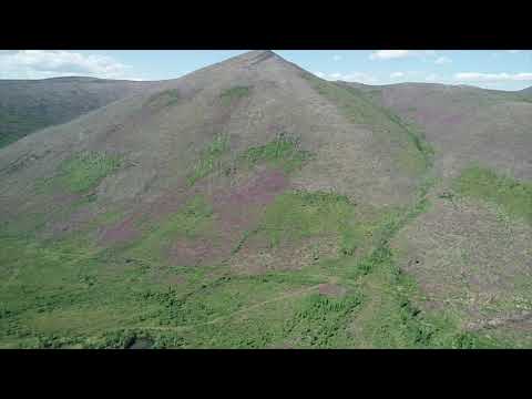 Видео: Поселок Сенокосный  Ягоднинский район лето 2020