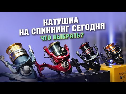 Видео: Катушка на спиннинг. Что купить сегодня?