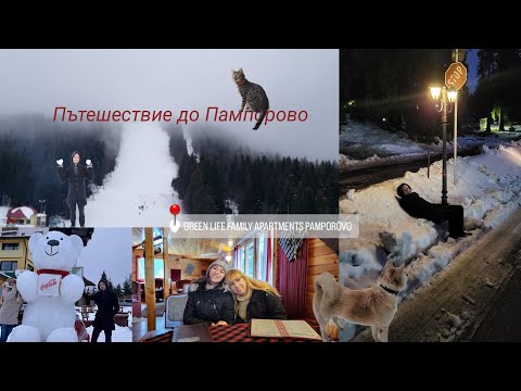 Видео: Пътешествие до Пампорово📍
