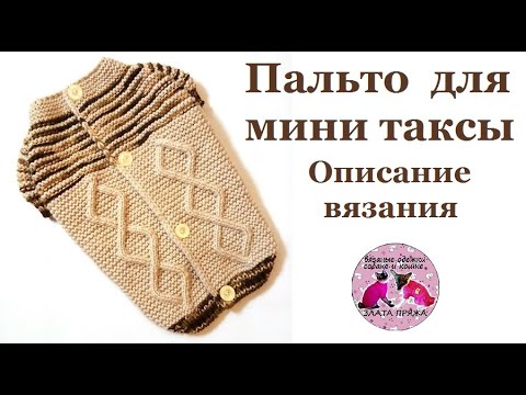 Видео: Свитер на пуговицах или пальто для мини таксы. Описание вязания