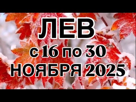Видео: ЛЕВ - 16  ПО 30  НОЯБРЯ  2025 | ВАЖНО! | НЕ ВАЖНО! | РЕЗУЛЬТАТ | ПРОГНОЗ ОТ NATALLIA  MARKOWSKA