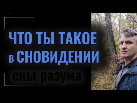 Видео: Чем является реальность на самом деле | Что значит просветлеть, зачем и как пробудиться