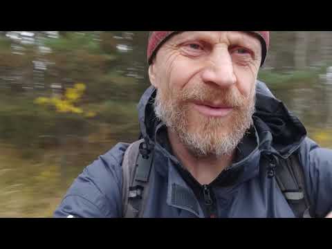 Видео: В Лес гонял