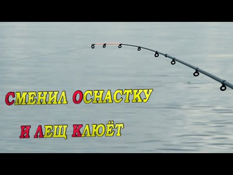 Видео: ЛЕЩИ ГИГАНТЫ НА ФИДЕР!РЫБАЛКА на ЛЕЩА В ИЮНЕ 2024 и оснастка на леща