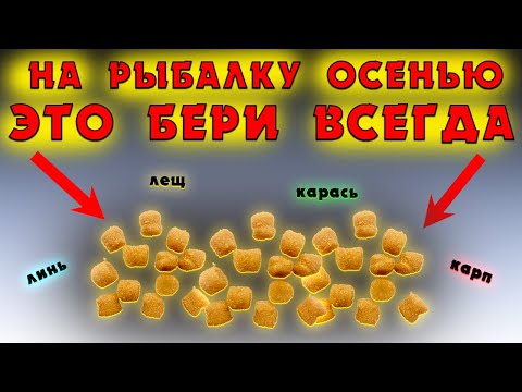 Видео: Насадка для рыбалки на КАРПА, КАРАСЯ, ЛЕЩА. Для успешной рыбалки осенью.