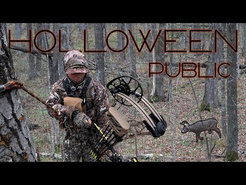 Видео: Охота на оленей на общественных землях Висконсина
