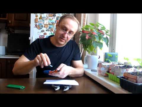 Видео: Обзор инструмента DUE BUOI  часть 3 заточка секатора 133 20