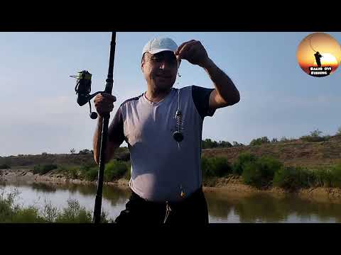 Видео: Балиқ ови Мутный канал  #рыбалка #баликови #fishing