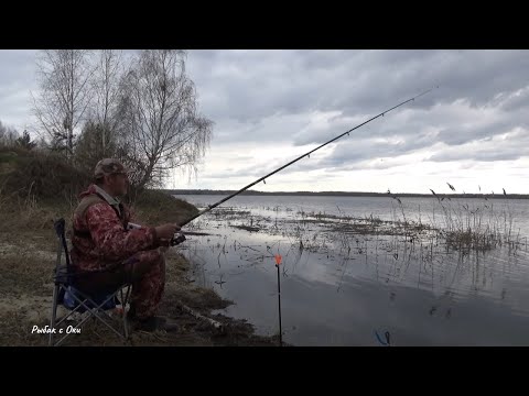 Видео: Рыбалка в АПРЕЛЕ на Поплавок - Донка! Карась - Густера! Река - Озеро!