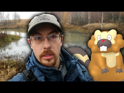 Видео: Кэп и бобры. Будут ли видео на канале?