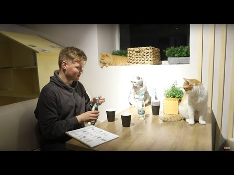 Видео: В путь! Кишинев - 11/11/21