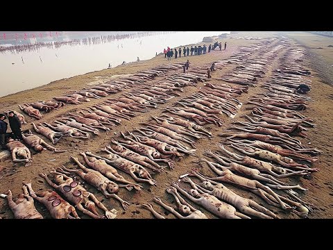 Видео: Вот Почему Северокорейцы Не Могут Сбежать в Соседние Страны