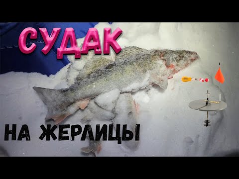 Видео: Рыбалка с ночевкой, судак на жерлицы