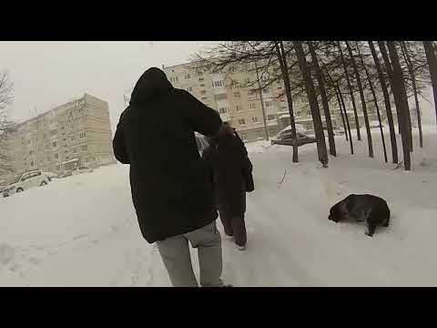 Видео: Сокол.  Запуржило.  30 ноября 2022 г.