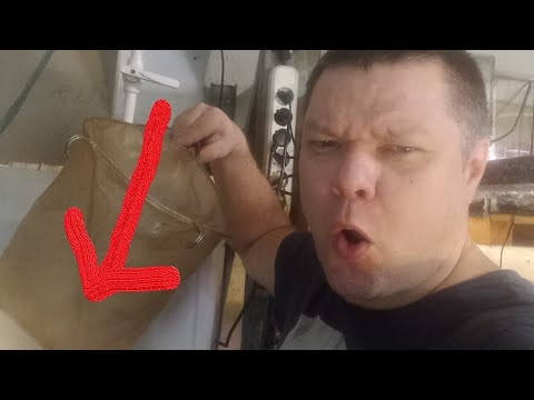 Видео: Нереальное количество дафнии в инкубаторе. Не ожидал такого