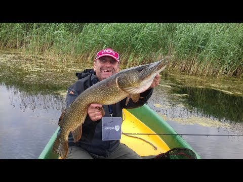 Видео: Salmo Fatso Crank - король мелководья!