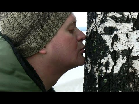 Видео: ДЕНИС ОСОКИН. НЕБЕСНЫЕ ЖЁНЫ ЛУГОВЫХ МАРИ