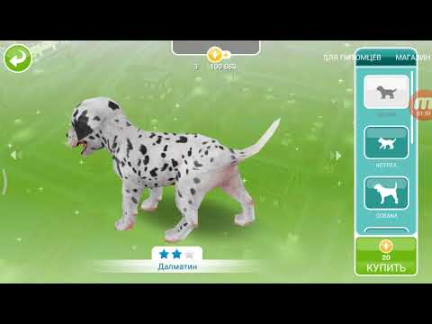 Видео: Баг на питомник.12 ПИТОМЦЕВ В ДОМЕ? | Симс FreePlay.