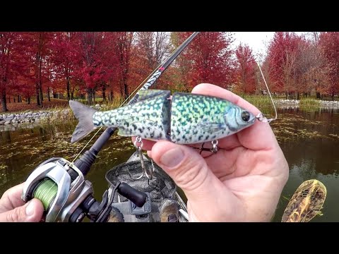 Видео: Осенняя рыбалка. Скользящая приманка для краппи!