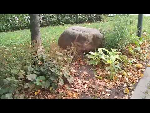 Видео: Москва 🏙 Калитниковский сквер 🌿 Сентябрь в городе 🍁.