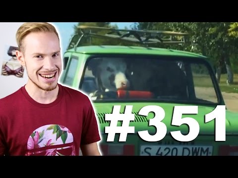 Видео: This is Хорошо - Пристегни корову! }I:B(