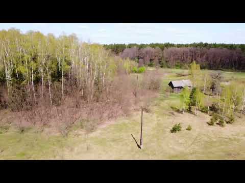 Видео: Окремий будинок у ліса, на хуторі. Чернігівська область. 052023