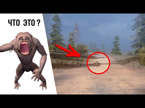 Видео: 10 Новых Монстров из модов - stalker
