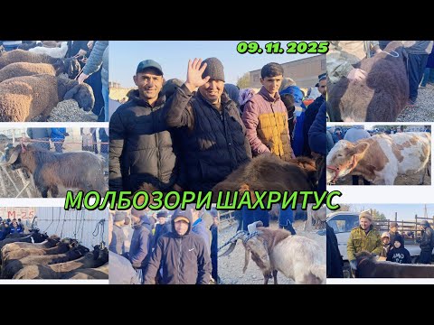 Видео: МОЛ БОЗОРИ ШАХРИТУС МАРХАМАТ
