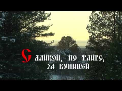Видео: С лайкой по тайге за куницей